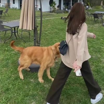 调教咖啡厅